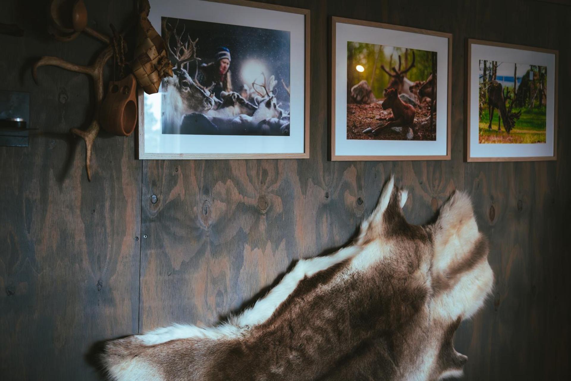 Reindeer Lodge Jukkasjarvi Luaran gambar